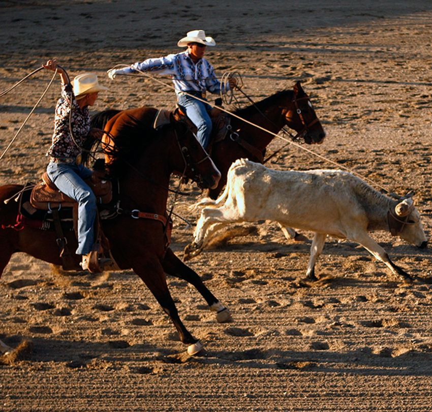 WeDoBooks Wickenburg Accounting and Bookkeeping Services