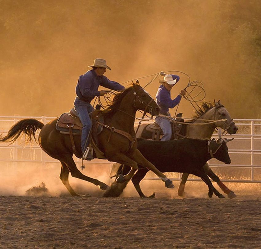 WeDoBooks Wickenburg Tax Preparation