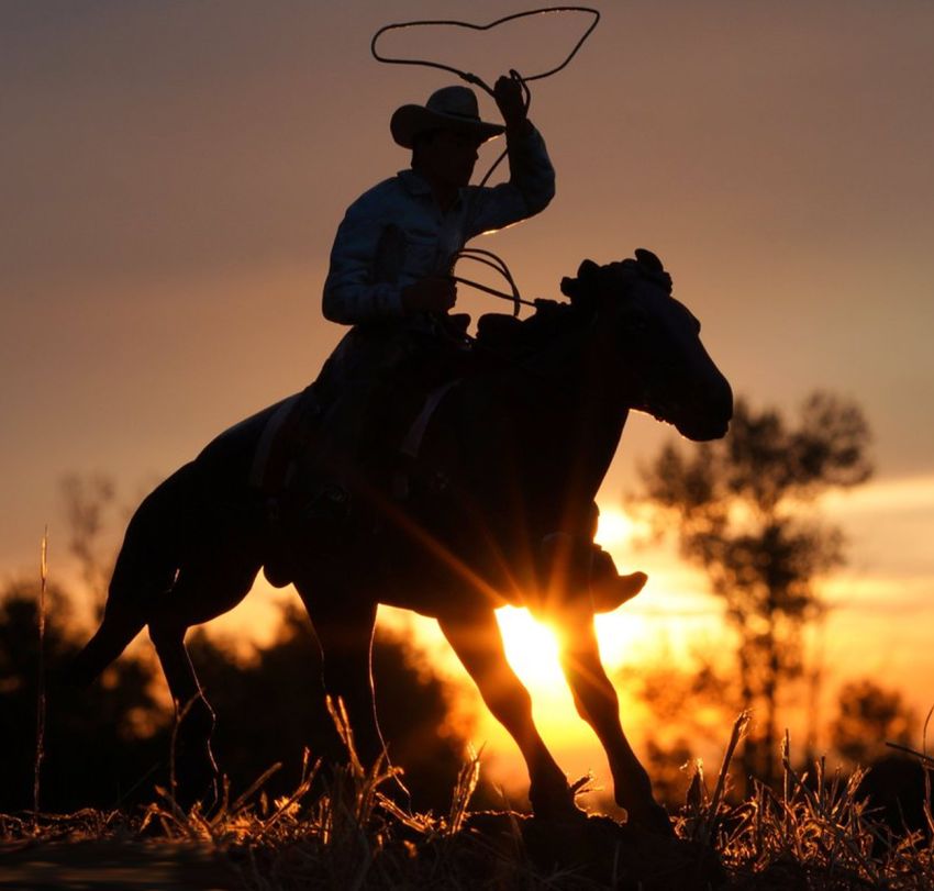 WeDoBooks Wickenburg New Business Formation Assistance