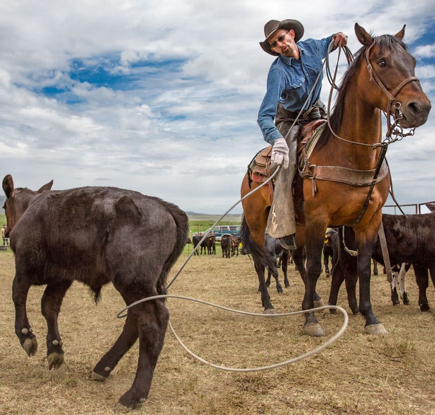 WeDoBooks Wickenburg Cash Flow Management Solutions