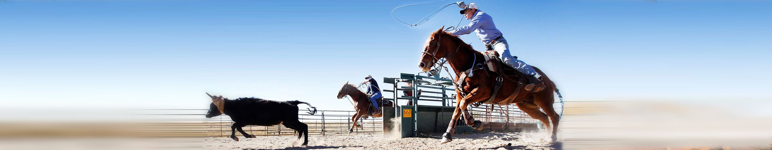 WeDoBooks of Wickenburg, Arizona Privacy Policy